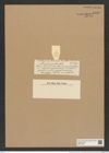 Actinocyclus pumilus Castr. (de-Toni-Nr.: Genus 195, Species 4801) Zeichnungen Sammlung Grunow Nr. 8450 (NHMW-BOT-W0377903)